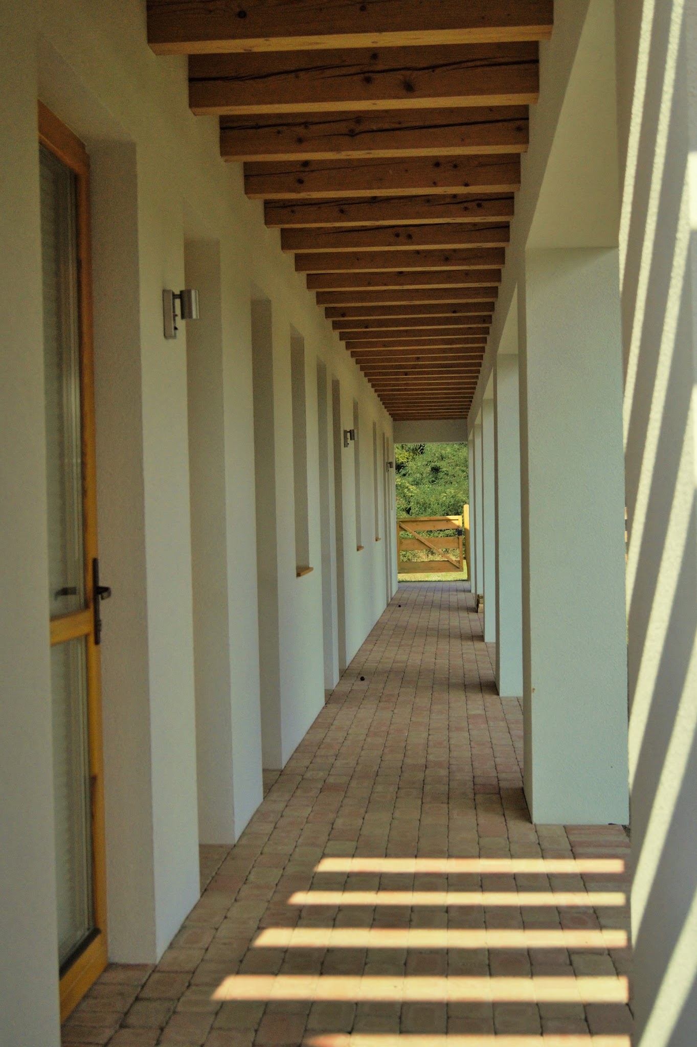 DSC00503-1
